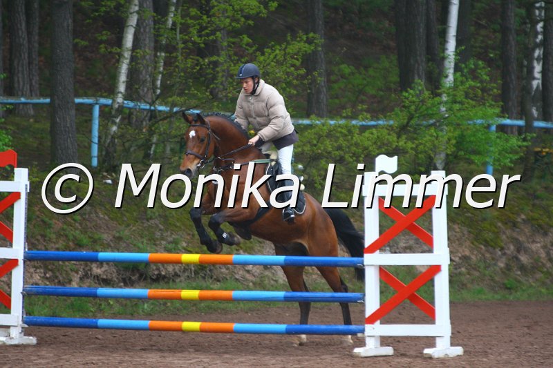 005L4556_Barrichello_Springpferde A xx.JPG